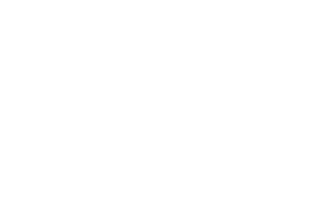 Sandals Certified logo