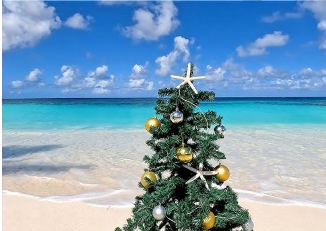 Christmas tree on a beach.