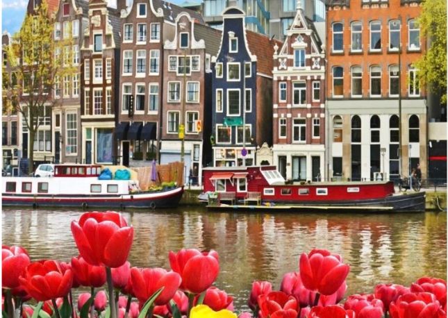 Tulip Festival Amsterdam