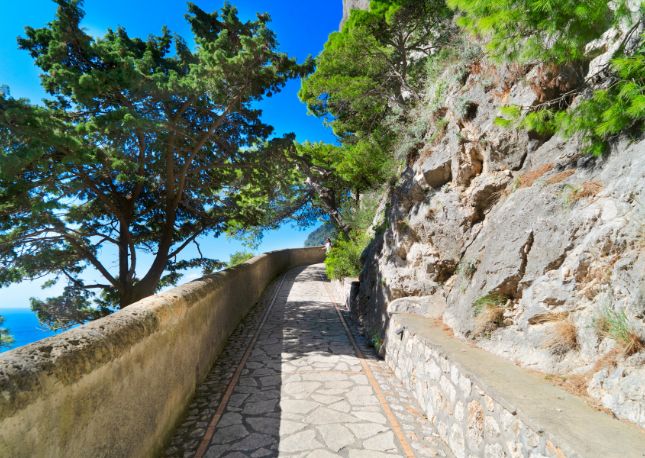 From the dazzling island of Capri to the haunting ruins of Pompeii, this unforgettable shore excursion showcases the diversity and allure of the Italian Riviera.