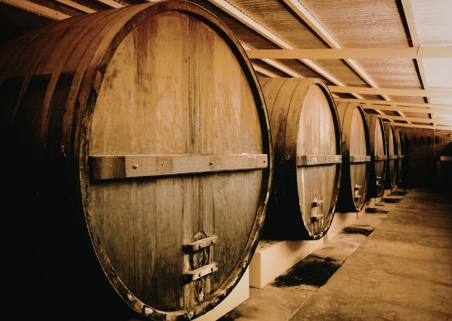 Venture beyond Dubrovnik’s city walls and into the fertile, sun-washed valley of Konavle on an exclusive shore excursion that invites you into the heart of southern Dalmatia’s winemaking legacy—a place where time-honored craftsmanship, family devotion, and deep cultural pride converge beneath the mountains of Pridvorje.