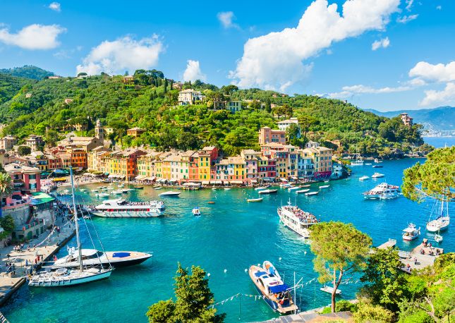 Begin your day with a captivating hike through the beautiful park of the Portofino promontory, renowned for its lush greenery, rugged cliffs, and panoramic vistas of the Ligurian coastline